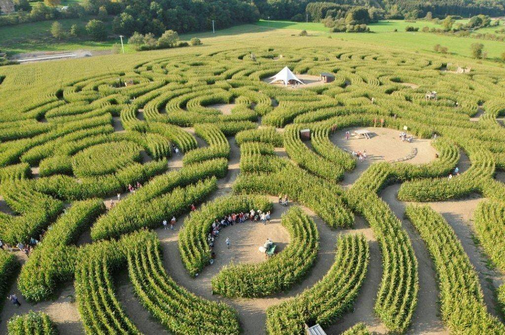 Het labyrint