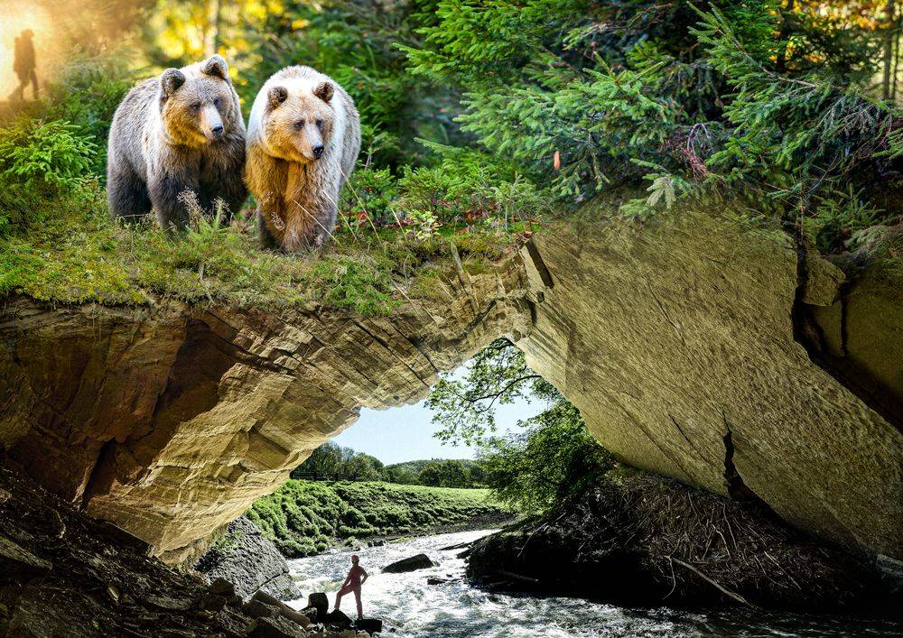 Wildpark of Domein van de Grotten van Han
