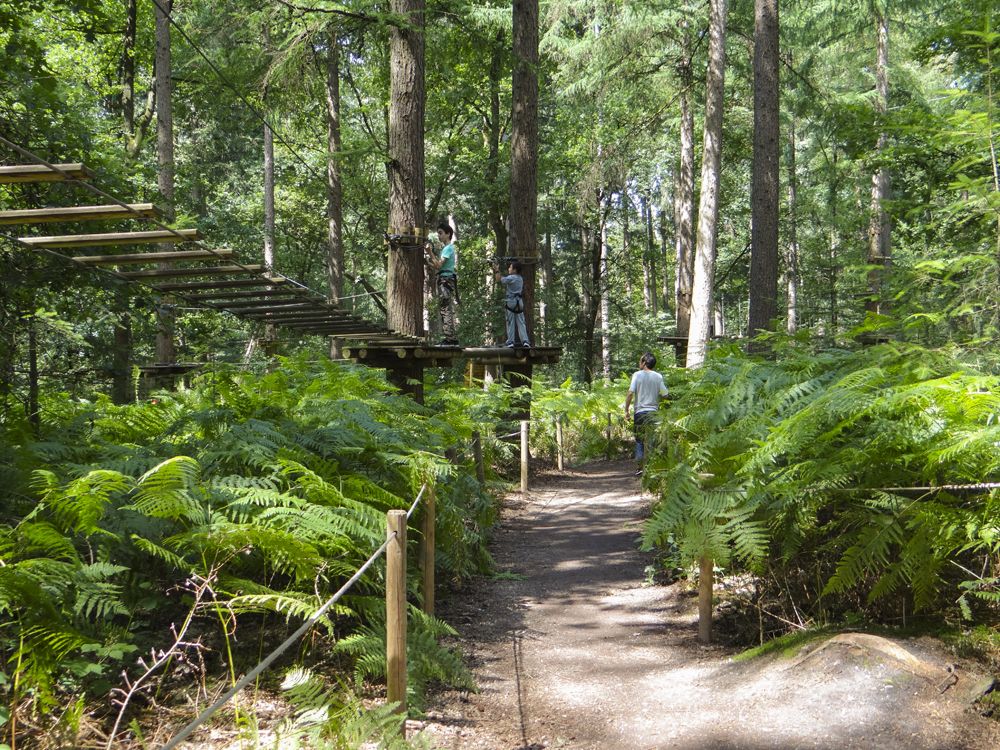 Klimbos Lage Vuursche - Uit Met Kinderen