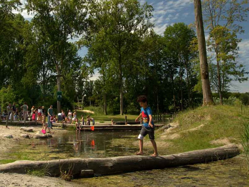 Stichting AAP - Uit Met Kinderen